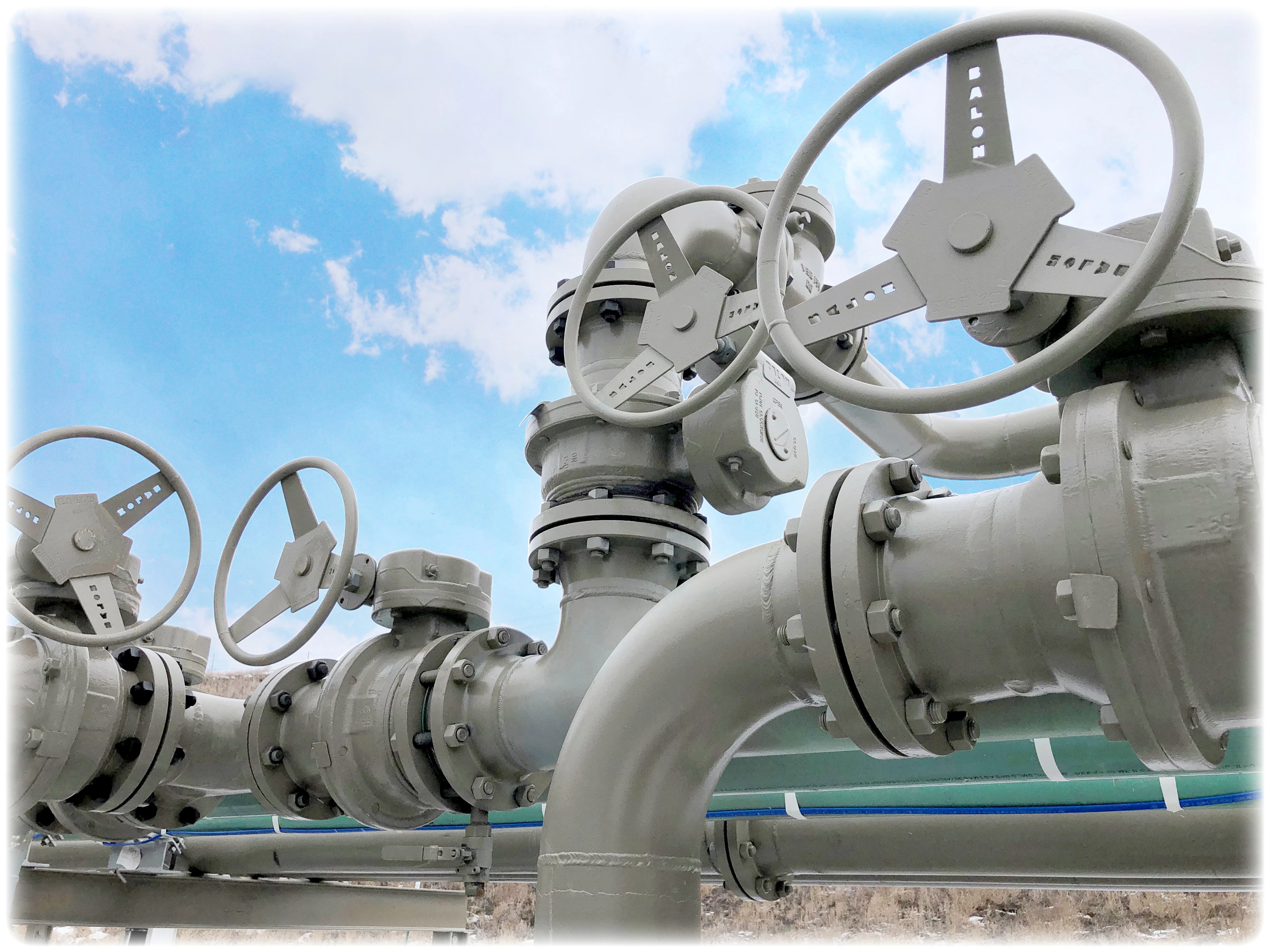 Mặt cắt floating ball valve Balon Carbon Steel — cấu tạo thân và bi